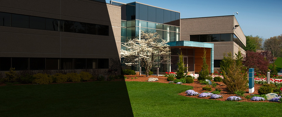 Chapin Landscapers