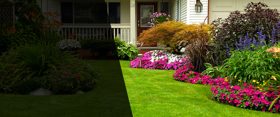 Chapin Landscapers