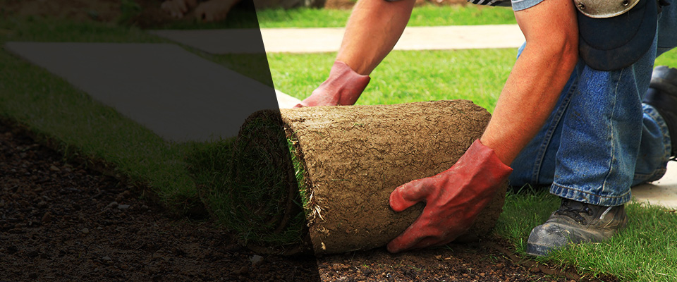 Chapin Landscapers